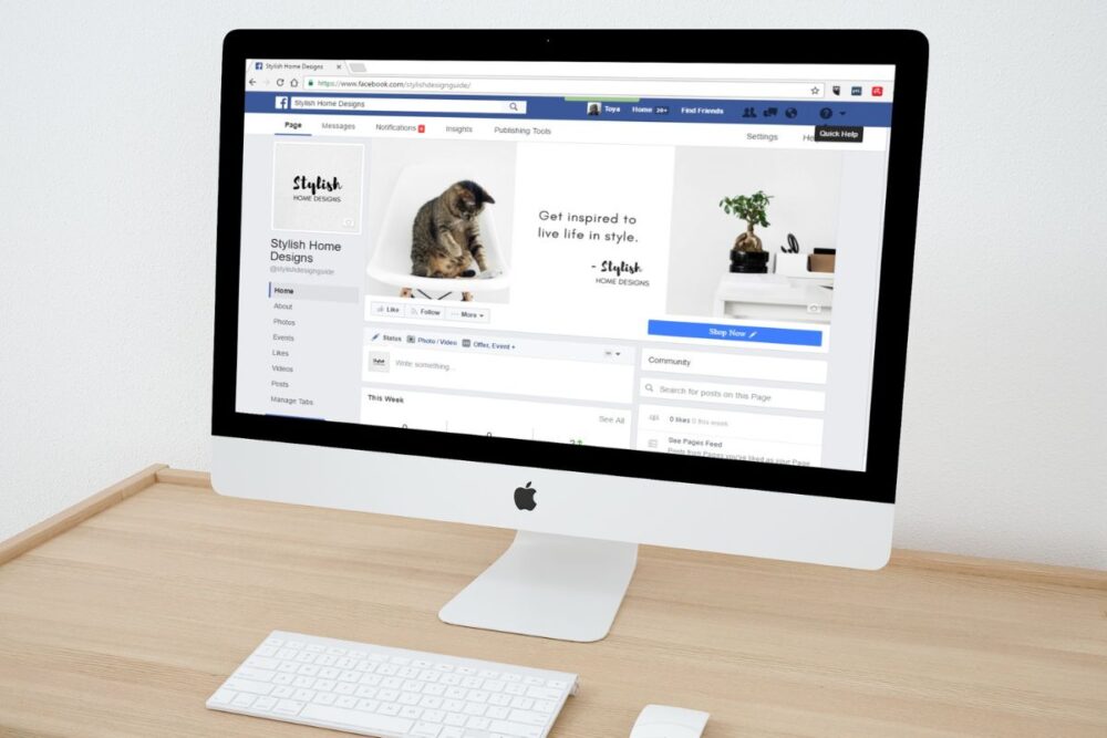 7 ideias de negócios sem investimento que você pode começar no Facebook