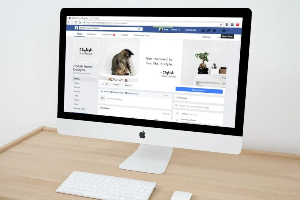 7 ideias de negócios sem investimento que você pode começar no Facebook 7 ideias de negócios sem investimento que você pode começar no Facebook