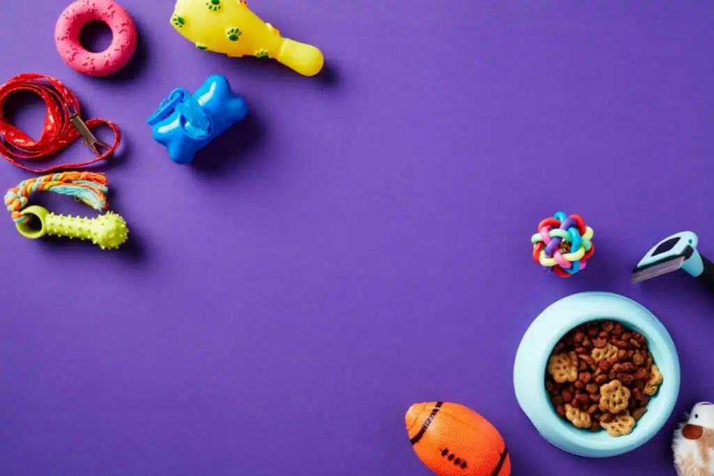 10 Brinquedos Incríveis para Entreter seu Animal de Estimação