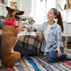 Como Treinar seu Animal de Estimação em Casa