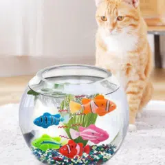 5. O Irresistível "Peixinho Dançante"