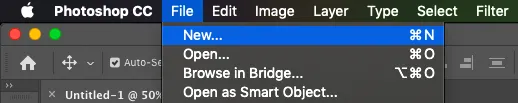 The Complete Beginner Guide For Photoshop CC 2 How to Open a Document in Adobe Photoshop?
